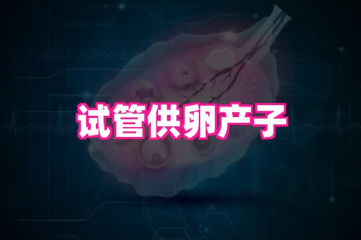 gfg孕网 2